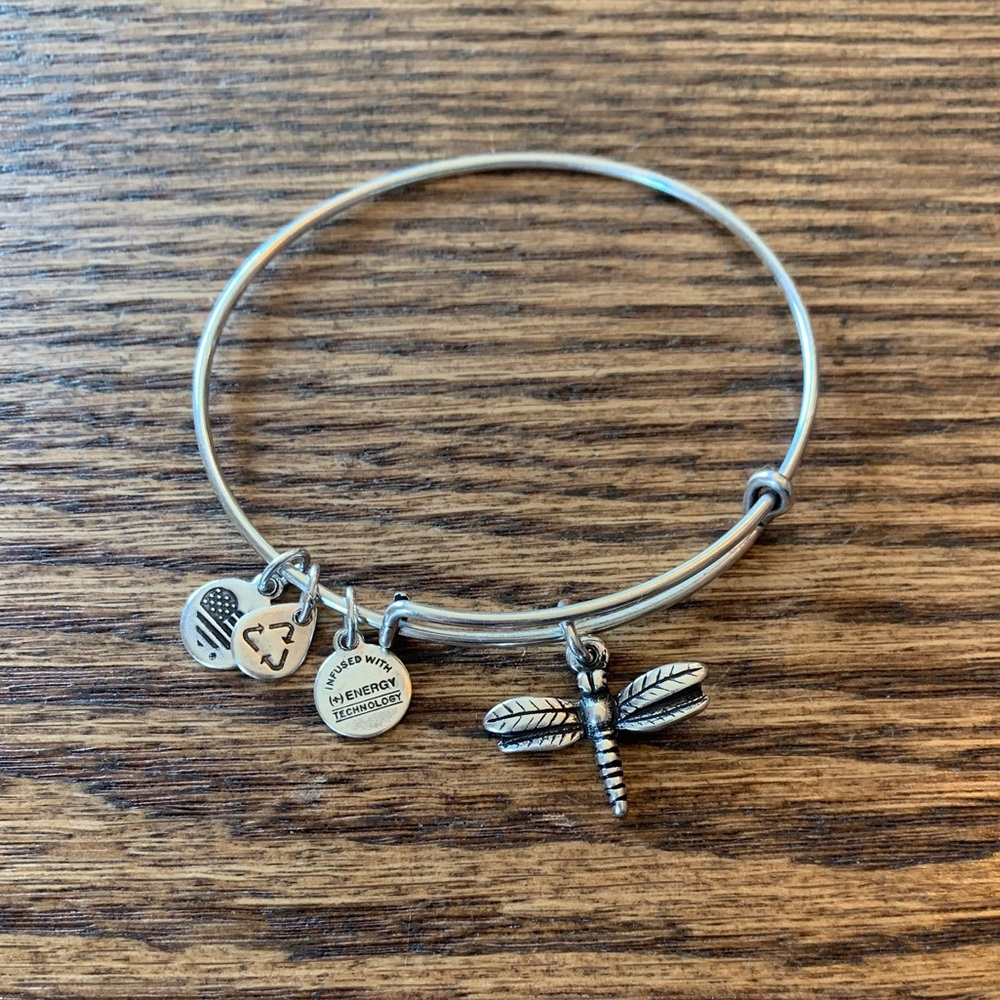 Alex and Ani dragonfly silver charm bracelet